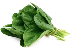 Magnesium Glycinate - Supports Nerve Function and Reduces Tingling - Presgera Neuropathy Formula